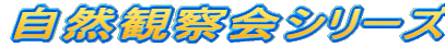 Rώ@V[Y